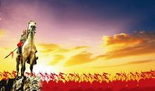 战马读后感800字