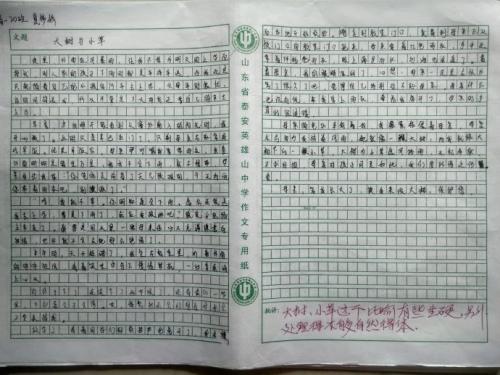 高一学习计划组成