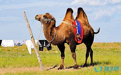 阅读《寻宝猎人》后的感想