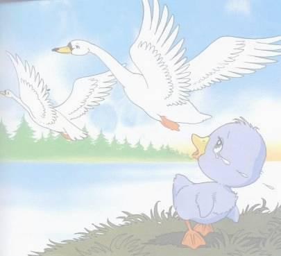 丑小鸭变成了白色的天鹅