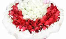 白玫瑰和红玫瑰读后感