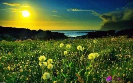 心语：不陪伴你一辈子，而是陪伴你一辈子