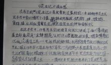 写一篇读后感800字