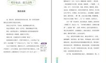 名着中的经典语句大全