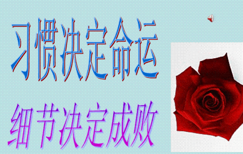 细节决定成败800字