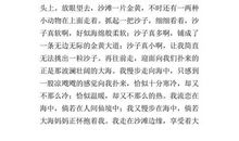 一张旧照片作文