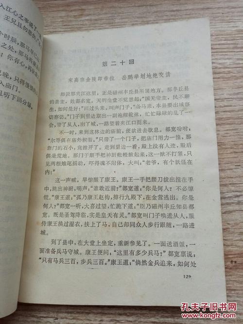 看了宋世岳飞的传记