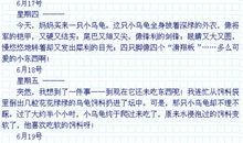 信守诺言的作文