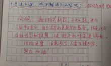 家乡的习俗作文初中