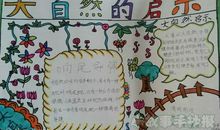 大自然给我的启示