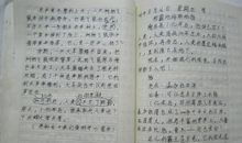 快乐的一天100字