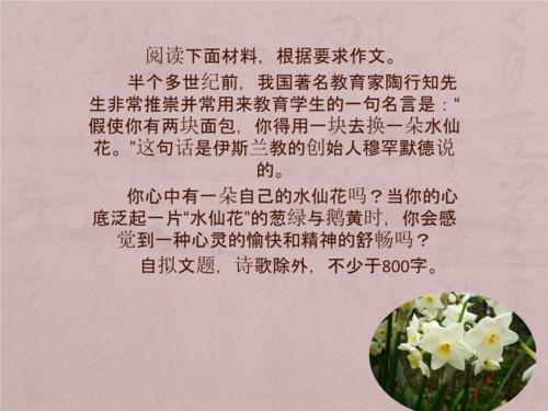 面包和水仙花组成