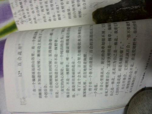 阅读后燃烧的男孩