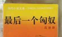 最后一个匈奴读后感