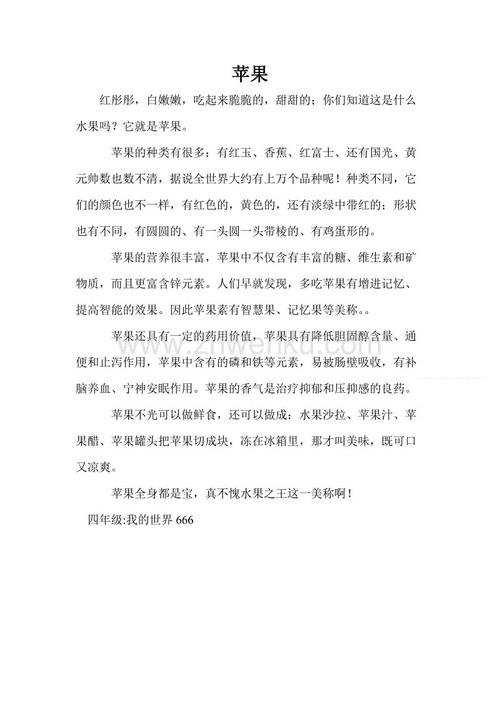 夏天在这里400字