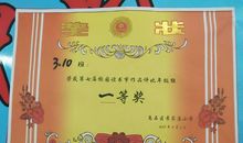 我的小台灯作文500字