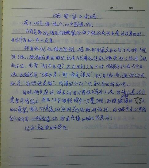 阅读红皮书后的500个字