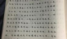 初二作文这就是爱