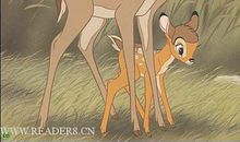 小鹿斑比读后感