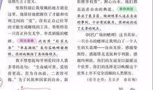 小学生电影观后感