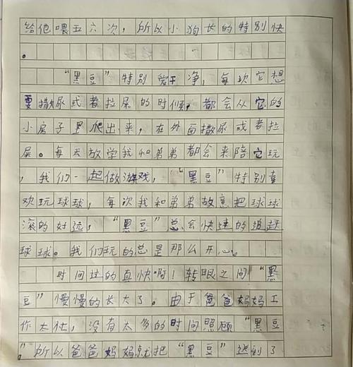 我的宠物论文600字