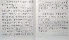 我的家乡高中作文