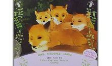 西顿野生动物读后感