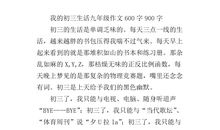 我的初三生活作文