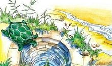 井底之蛙的读后感