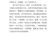 爬山作文300字