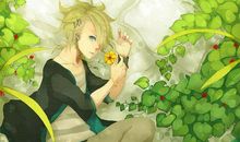 心语：一心一意是世上最温柔的力量