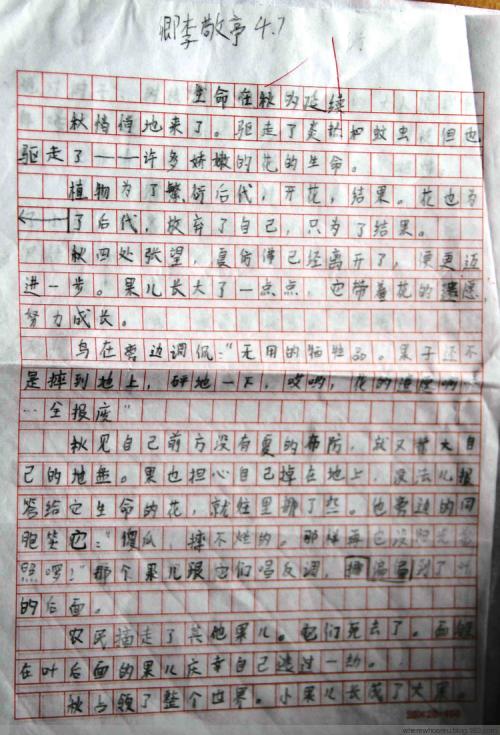 手指构成400字