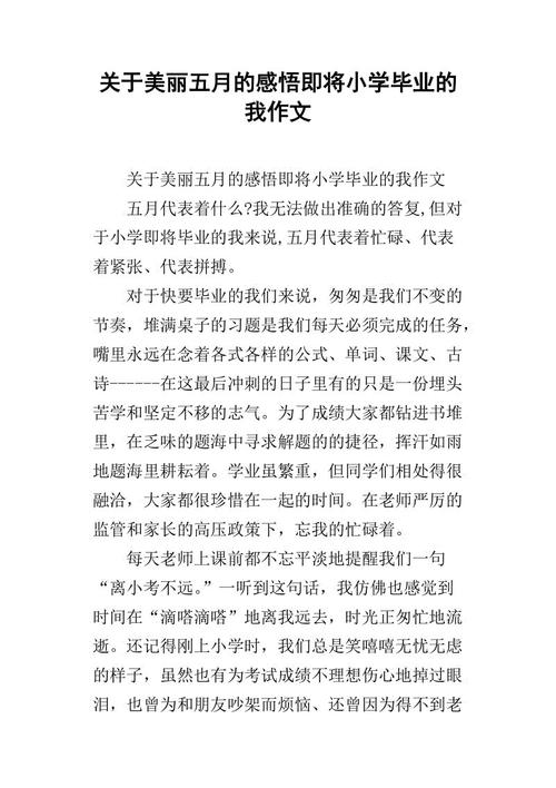 初二学习计划构成