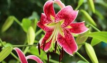 人生感慨经典语句