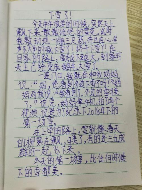 下雪了350个单词