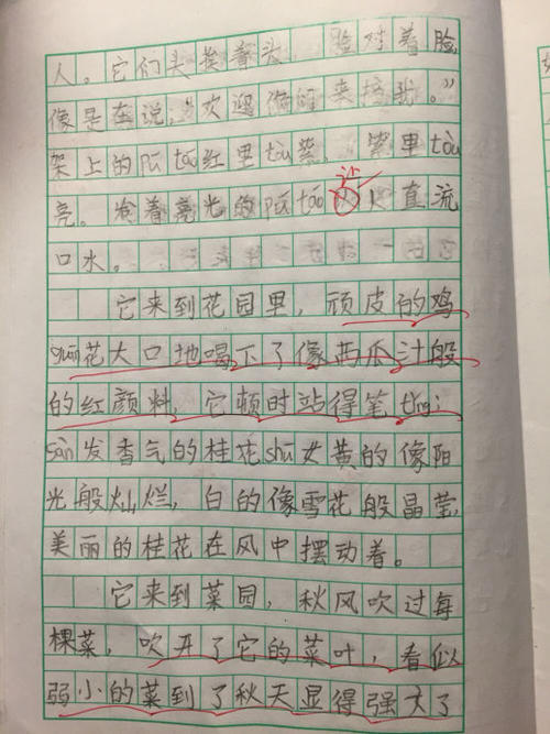 景观构图300字