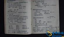 感悟母爱读后感