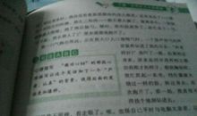 风景这边独好作文400字