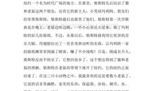 初一读后感大全