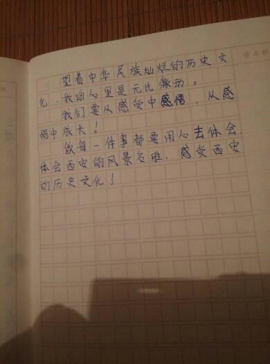 小学五年级日记