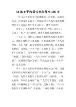 新年六年级作文