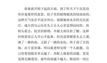 阳光总在风雨后作文700字