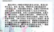 祖父的园子读后感