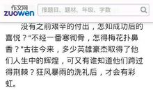 阳光总在风雨后作文600字