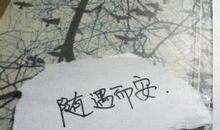 随遇而安读后感