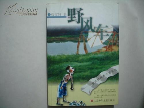 关于阅读《狂风车》的思考