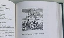 《草叶集》读后感