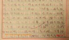 未来的家乡作文200字