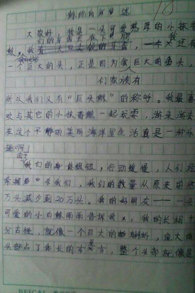 鲸鱼的自我报告作文400字