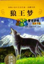 沉世xi小说的思考